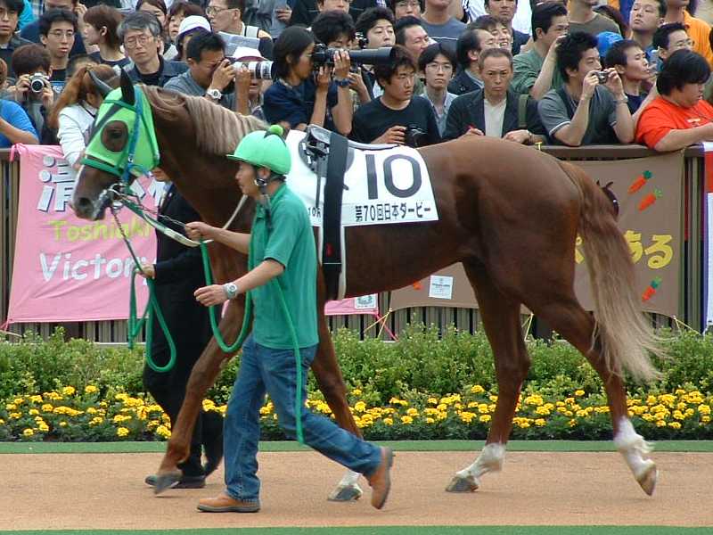 馬画像集(競馬名実況集)